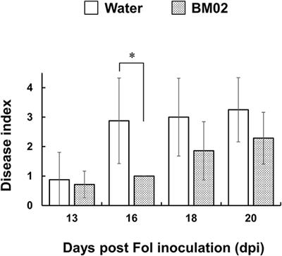 Phenylacetic Acid and Methylphenyl Acetate From the Biocontrol Bacterium <mark class="highlighted">Bacillus mycoides</mark> BM02 Suppress Spore Germination in Fusarium oxysporum f. sp. lycopersici